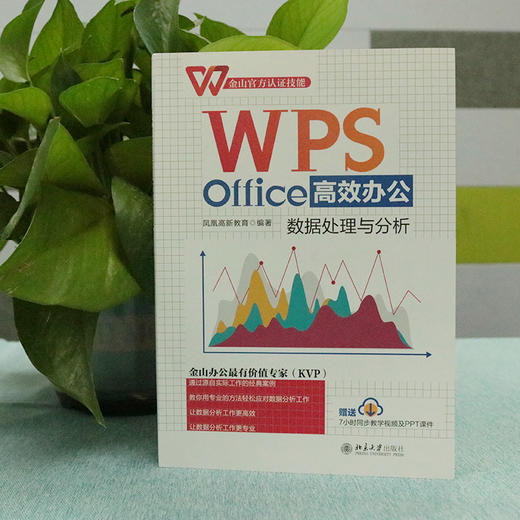 WPS Office办公：数据处理与分析 凤凰高新教育 北京大学出版社 商品图2