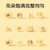 北京同仁堂 菊花50g 安徽贡菊 冲泡饮用（新老包装随机发货） 商品缩略图2