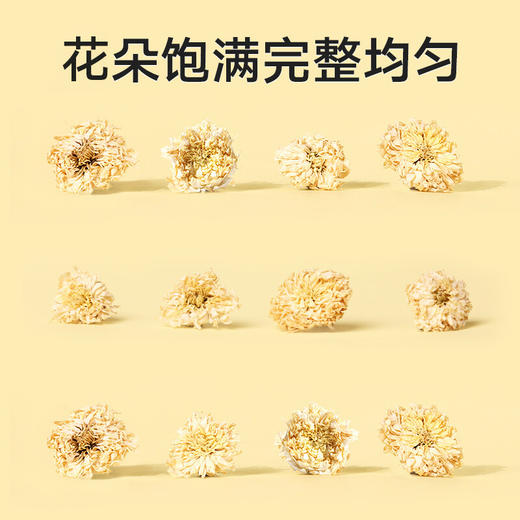 北京同仁堂 菊花50g 安徽贡菊 冲泡饮用（新老包装随机发货） 商品图2