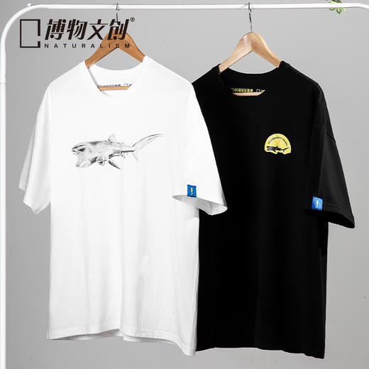 博物文创巨口鲨原创鲨鱼T恤100%纯棉潮流文艺半袖短袖 商品图0