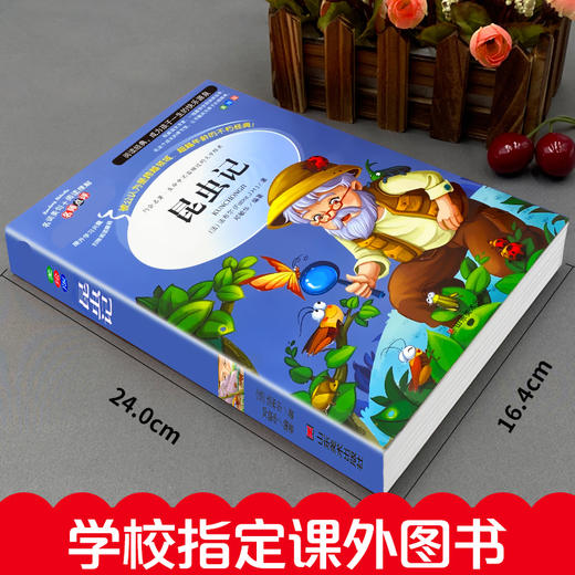 昆虫记 美绘版 商品图1