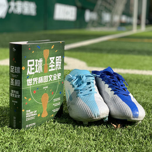 足球圣殿：世界杯图文全史 商品图4