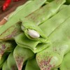 油豆角 商品缩略图0