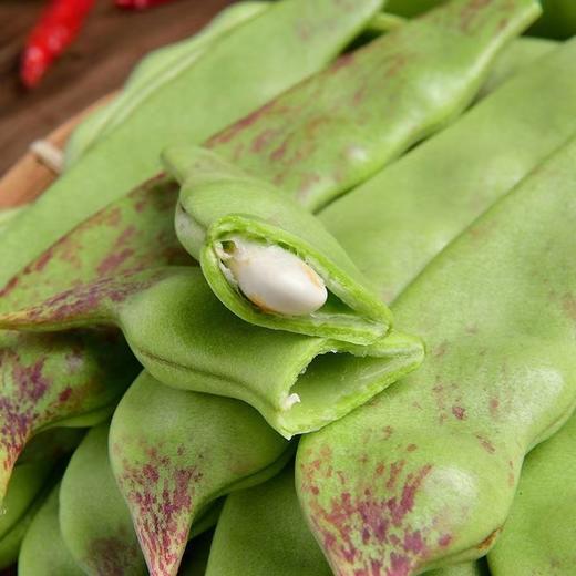 油豆角 商品图0