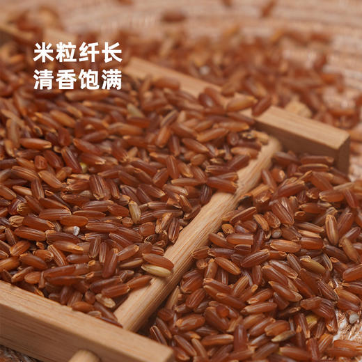 生态红米 红糙米无农药化肥自然农法种植 商品图2