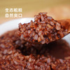 谦益农场红米 红糙米自然农法种植 商品缩略图1
