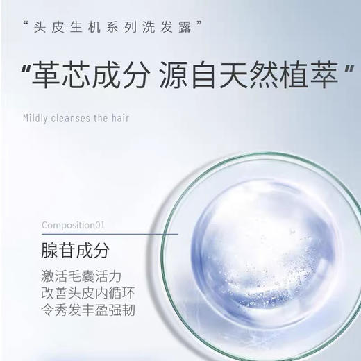 Shiseido资生堂洗发水/护发素 护理道头皮系列丰盈蓬松生机500ml 商品图3