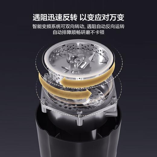 卡萨帝超五级研磨厨房垃圾处理器家用厨余食物粉碎机变频遇阻反转智能自动关机 【高端产品上市】CLD800-B1 商品图4