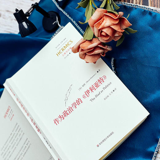 作为政治学的《伊利亚特》 经典与解释 古典学丛编 六点图书 诗歌研究 古希腊 哲学 政治学 [美]翰默 著 商品图5