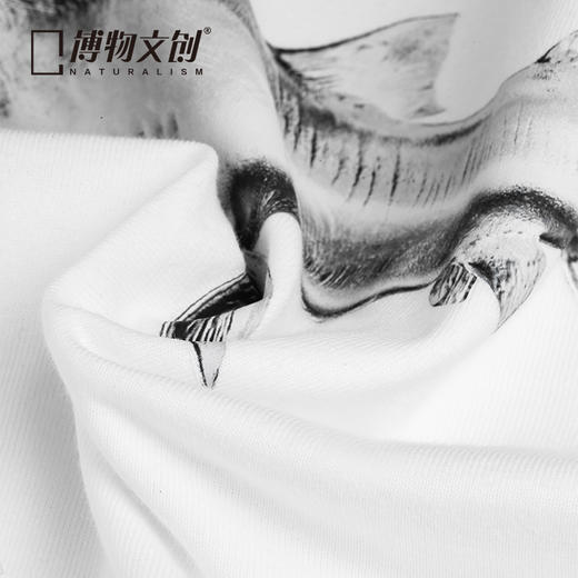 博物文创巨口鲨原创鲨鱼T恤100%纯棉潮流文艺半袖短袖 商品图4
