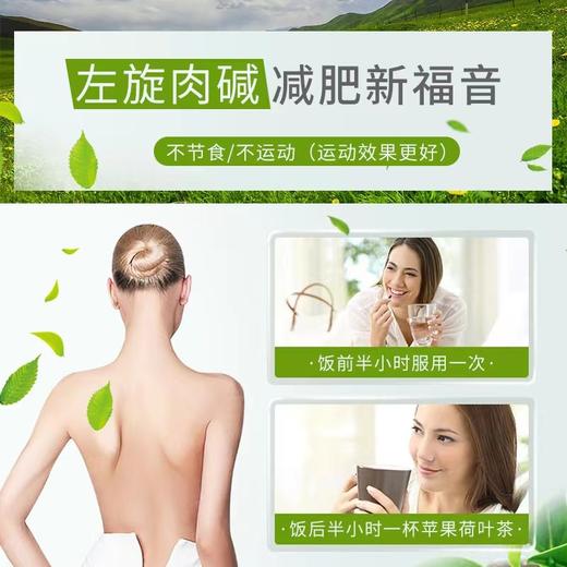 南京同仁堂美林康牌左旋肉碱绿茶胶囊 减肥 国食健注G20120449 商品图2