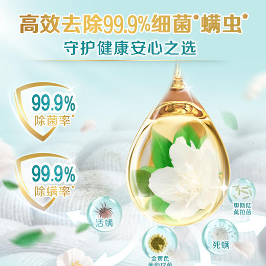 立白天然茶籽除菌洗衣液6kg（500g*12袋）补充装 香水洗衣液香味持久 手洗机洗 酒店整箱批发团购 商品图5