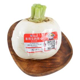 放心圆白萝卜 约500g/份