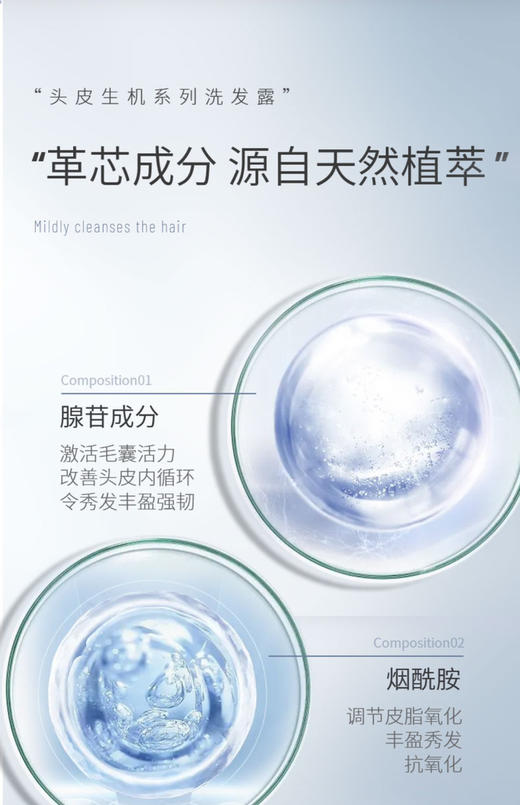 Shiseido资生堂洗发水/护发素 护理道头皮系列丰盈蓬松生机500ml 商品图6