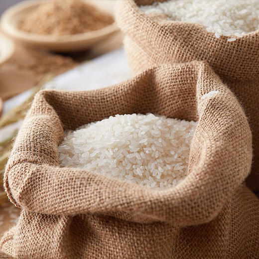 田漫 有机长粒香大米5kg 黑龙江 东北大米 有机大米 节日送礼 10斤 商品图2