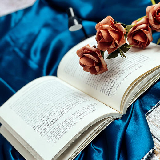 作为政治学的《伊利亚特》 经典与解释 古典学丛编 六点图书 诗歌研究 古希腊 哲学 政治学 [美]翰默 著 商品图7