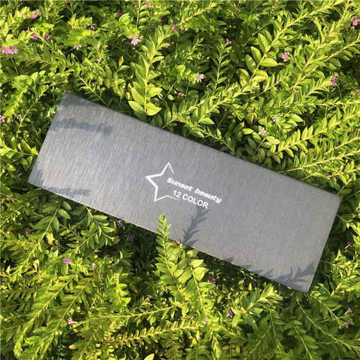 【一盒十二支】抖音网红同款星座红套装学生可爱情人节礼物 商品图1