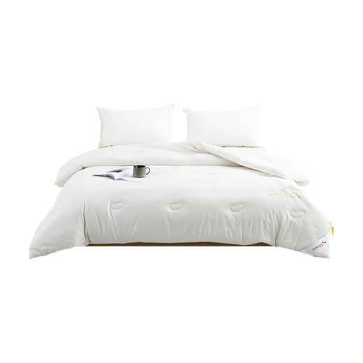 红蜻蜓 原棉大豆被 2300g HQT-2002 商品图5