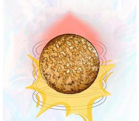 会员服务【GONG】