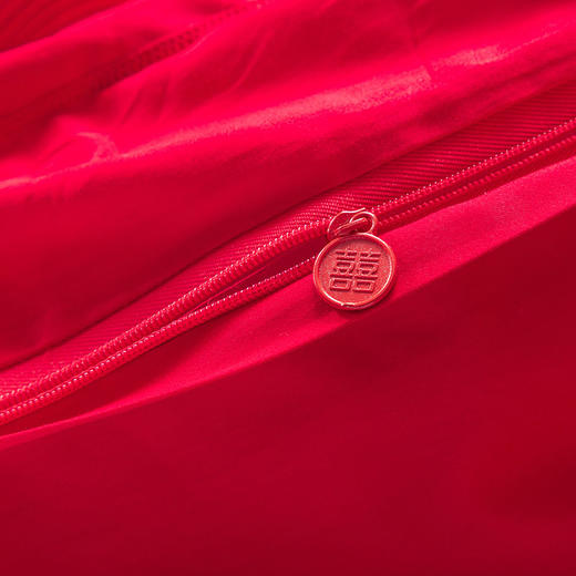 多喜爱 喜玫瑰婚庆新绒棉缎纹床上用品八件套 美满人生（红） cs 商品图6