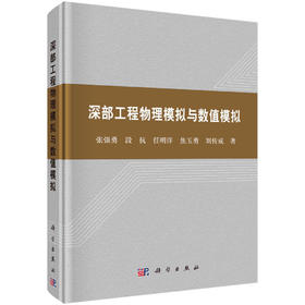 深部工程物理模拟与数值模拟/张强勇