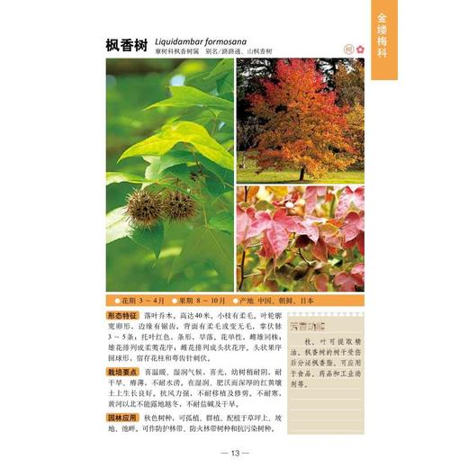 300种芳香植物识别图鉴 彩图典藏版 商品图3