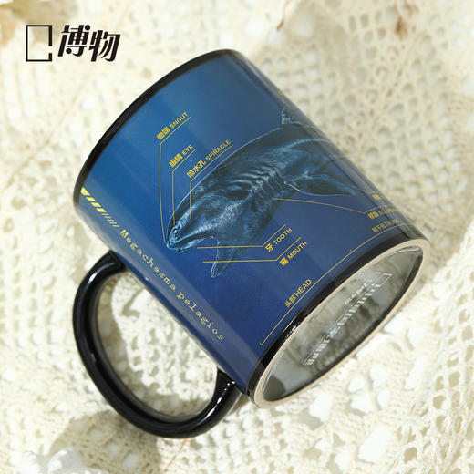 博物 巨口鲨温感鲨鱼杯会变色陶瓷杯咖啡马克杯毕业圣诞礼物 商品图2