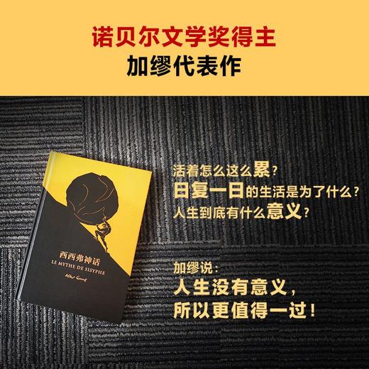西西弗神话 人生没有意义西西弗人生真谛 文学散文/哲学随笔 哲学 商品图4