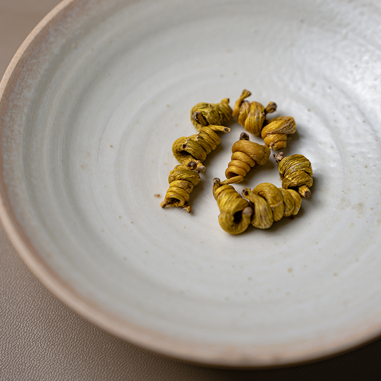 铁皮石斛枫斗  ·  霍山米斛枫斗 | （可打粉，联系客服）