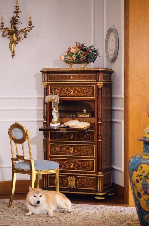 国内现货独角鹿西洋古董家具拿破仑三世DIEHL工坊翻盖边柜写字台 商品图1