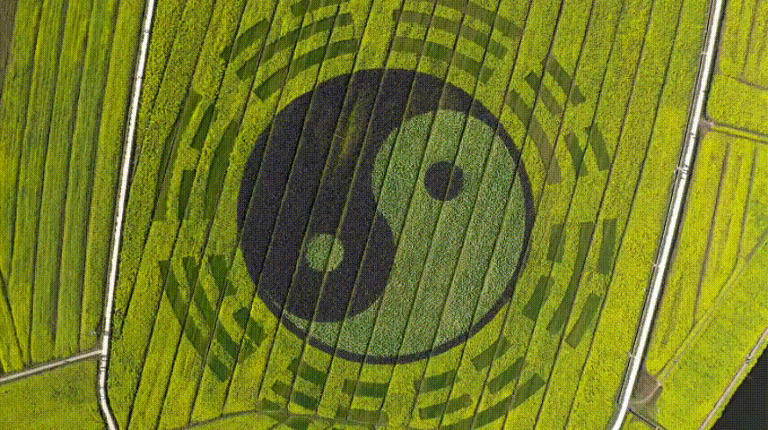 延伸│震卦象义与居家布局