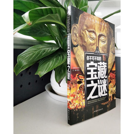 少年探索发现系列 你不可不知的宝藏之谜 商品图1