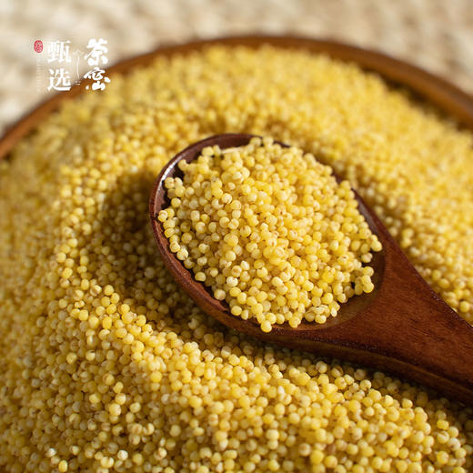 乾安黄金小米5斤装 商品图2
