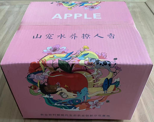 有机红富士苹果10斤装 商品图6