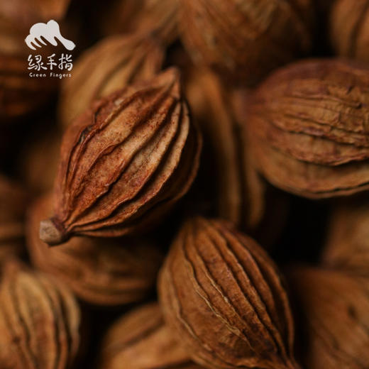 生态砂仁   | 合作生产* Organic  Amomum villosum | Coproduction 商品图3