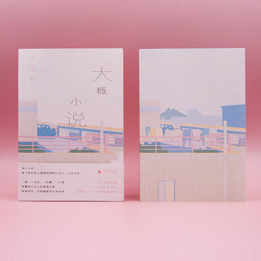 新民说 大概小说 小安/著 商品图1