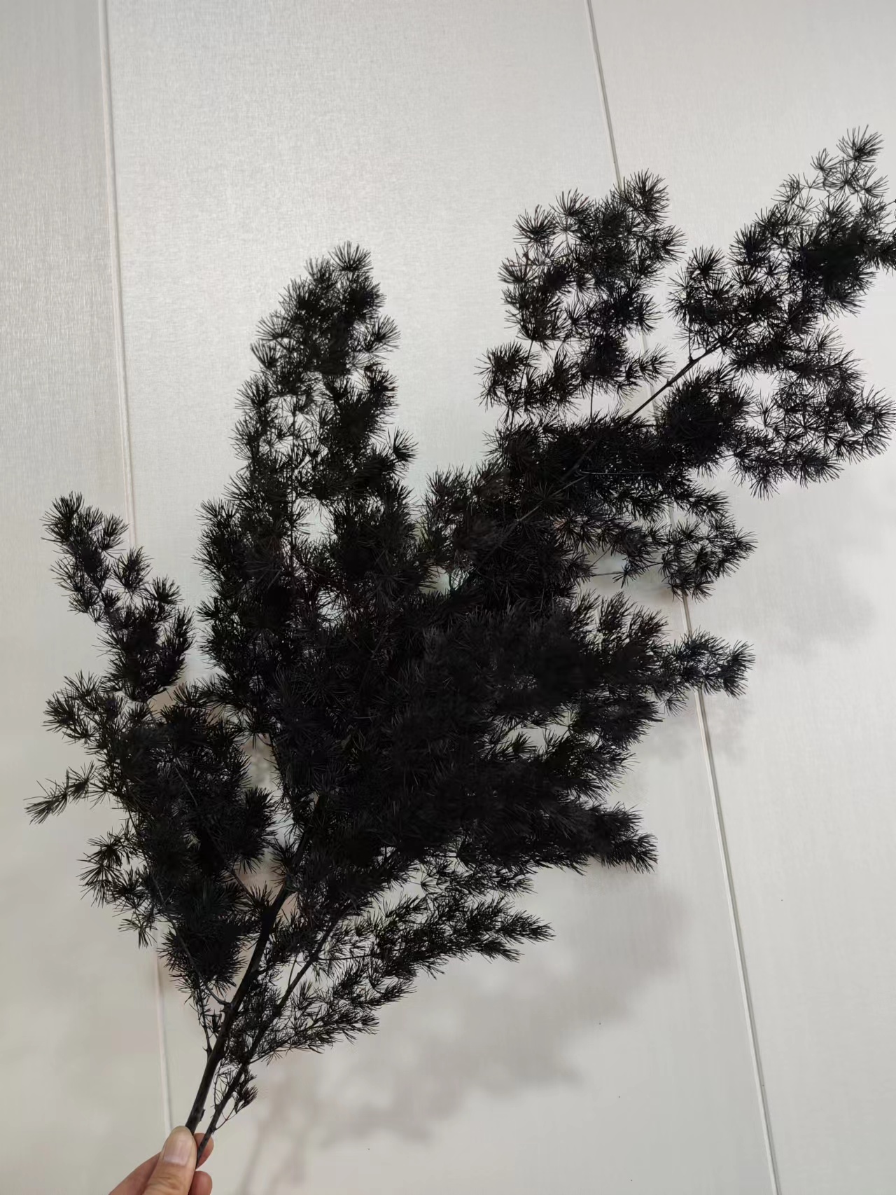 【干花】蓬莱松（寿松）扎，多色可选