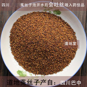 仙蒙  四川大菟丝子 生菟丝子 兔丝子   500克 1000克