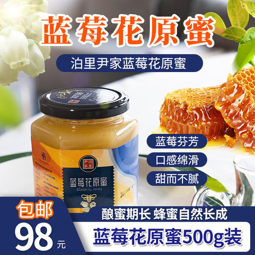 包邮 尹家泊里蓝莓花原蜜蜂蜜500g  酿蜜期长 自然成熟 商品图0