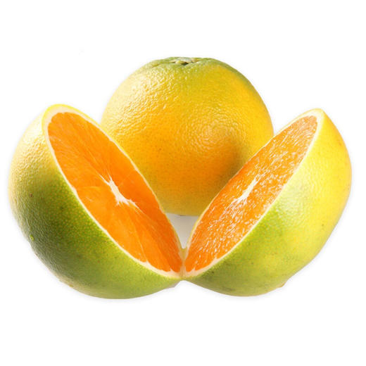 【采购下架】【助农】鑫勇泰秭归脐橙九月红净重9斤（果径75mm以上） 商品图6