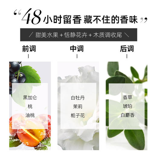 氨基酸清爽洗发水新版 商品图3