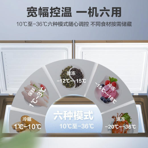 美的(Midea) 423升 商用大容积 卧式单温冰柜 冷藏冷冻转换冷柜 单箱变温冰箱 BD/BC-423DKEM(E) 商品图1