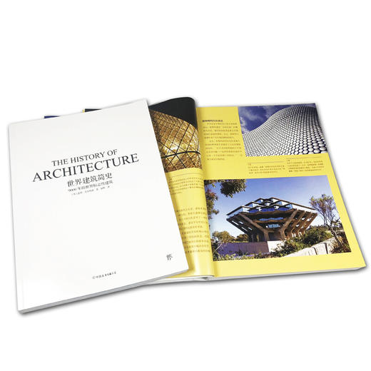 世界建筑简史 盖纳艾尔特南 著 建筑 商品图3