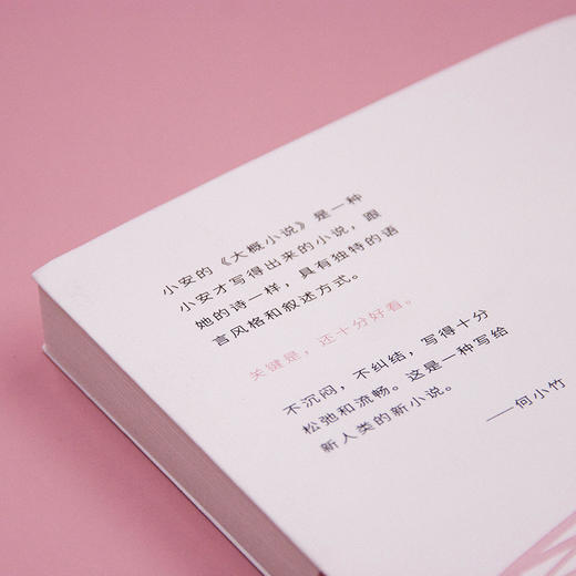 新民说 大概小说 小安/著 商品图4
