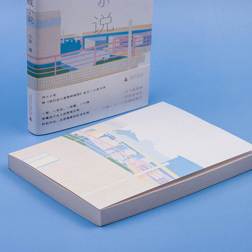 新民说 大概小说 小安/著 商品图2