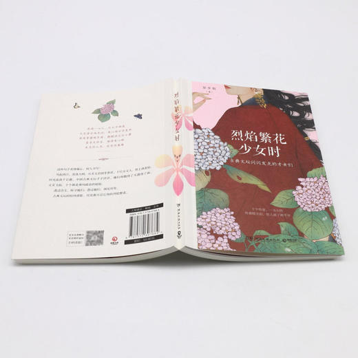 烈焰繁花少女时(古典文坛闪闪发光的才女们) 商品图3