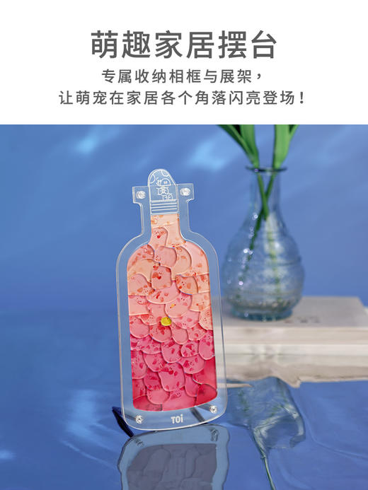 TOI图益亚克力瓶子里的萌宠猪猪狗狗猫猫立体创意拼图礼物网红猪 商品图1