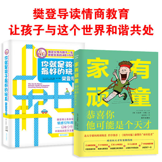 你就是孩子最好的玩具+家有顽童（2册） 商品图4