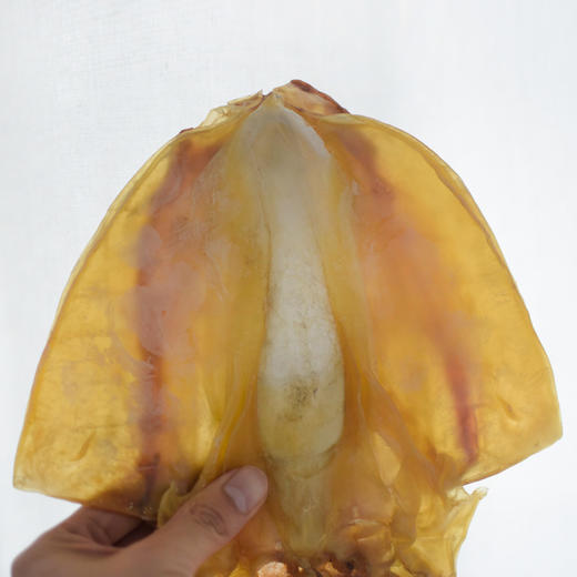 野生淡晒墨鱼干 | 东海墨鱼 鲜活阳光晾晒 新鲜 冷冻保存 煲汤炖粥轻松搞定 商品图4