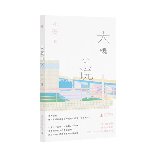 新民说 大概小说 小安/著 商品图0